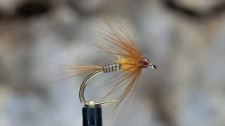 Quill Bodied Cruncher [upl. by Hercules]