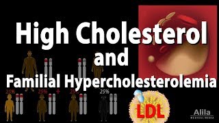 High Cholesterol and Familial Hypercholesterolemia Animation [upl. by Ainyt]