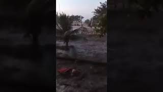 Tsunami hits a store in Palu [upl. by Areema23]