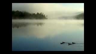 Melwood Cutlery  Loon on the Lake [upl. by Ayet]