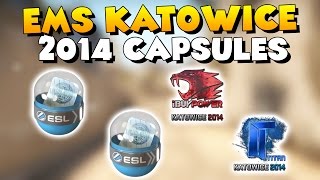 CSGO  Unboxing EMS Katowice 2014 Capsules  iBuyPower amp Titan Holo Dream [upl. by Nnylhsa124]