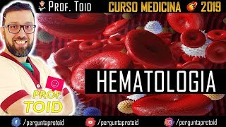 💉 Hematologia Básica  Medicina  Ensino Superior  Prof Toid 💉 [upl. by Bever]