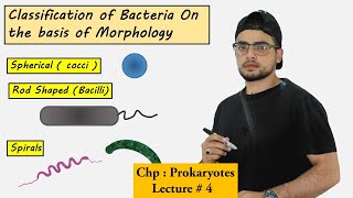 Classification of bacteria on the basis of Morphology  Shapes of bacteria [upl. by Entruoc4]