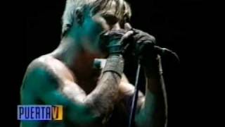 Otherside Red hot chili peppers  Argentina 2001 [upl. by Atibat351]