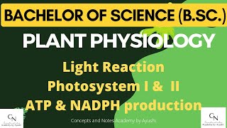 Light Reaction  Photosystem I and II  ATP amp NADPH production  Concepts amp Notes Academy by Ayushi [upl. by Drucy744]