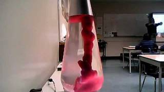 lava lamp Timelapse [upl. by Fitzger]