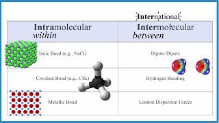 Intermolecular vs Intramolecular Forces Definitions amp Key Differences [upl. by Asiuqram]