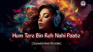 Hum Tere Bin Reh Nahi Paate  Slowed And Reverb  90s Bollywood Hindi Song  slowedandreverb [upl. by Ednarb]