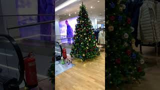 Christmas Tree 🎄 christmas alliwantforchristmasisyou merrychristmas music christmassongs [upl. by Dikmen]