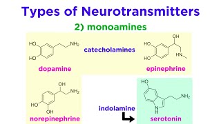 Neurotransmitters Type Structure and Function [upl. by Pitzer]