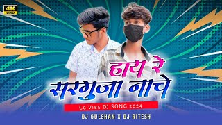 Hay Re Sarguja Nache  Bass Busted  Vibration Mix Dj RiTeSh x Dj Gulshan [upl. by Kinna]