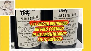 310 ¿COMO DISTINGUIR UN PALO CORTADO DE UN AMONTILLADO ¡TE LO EXPLICO [upl. by Assilram]