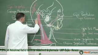 La vascularisation Lymphatique  Partie 3  Pr GHAILAN Med Rachid fac de médecine oujda [upl. by Rehpotsihc485]