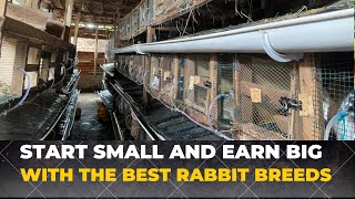 Rabbit Farming I STARTED with 8 RABBITS Now have 200 Rabbits  All our BEST Rabbit Breeds [upl. by Alitha]