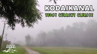 kodaikanal today current climate in Tamil l kodai today l kodaikanal weather l kodaikanal tourism [upl. by Thrift6]