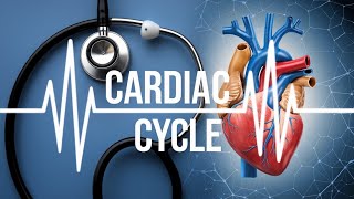 Understanding the cardiac cycle Animation [upl. by Ilah]