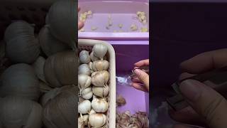 How to peel garlic cloves  Fast way to peel garlic  Garlic Peeling hack shorts shortsfeed [upl. by Dermot]