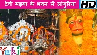 देवी मइया के भवन में लांगुरिया  Devi Maiya Ke Bhawan Me Languria  Navratri Geet  Lakkha Singh [upl. by Maria]