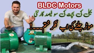 100 guarantee of power saving from BLDC motor bldcmotor [upl. by Aicemat376]