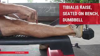 Tibialis Raise Seated on Bench Dumbbell [upl. by Jacobah975]