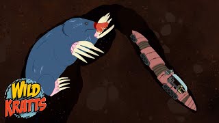 Escaping a StarNosed Mole  Happy Halloween  Wild Kratts [upl. by Aerdua]