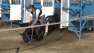 Carreras de Caballos en Madera California 13 de Noviembre 2016 [upl. by Blunk]