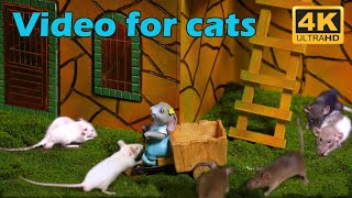 Cat TV Engaging Hide amp Seek Fun with Tiny Mice in Stunning 4K UHD  3 Hours of Play [upl. by Poliard]