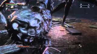 Bloodborne Defiled Chalice Amygdala Rage Death [upl. by Semmes348]