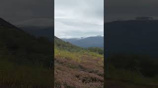 In the Majestic Cairngorm Mountains [upl. by Arutak]