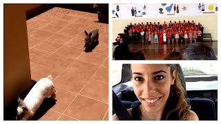 VLOG 7 De graduación [upl. by Som252]