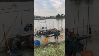 Fish charkfoodies shorts fishing [upl. by Nilad289]