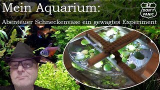 Abenteuer Schneckenvase ein gewagtes Experiment  Mein Aquarium 42 [upl. by Nahtal]