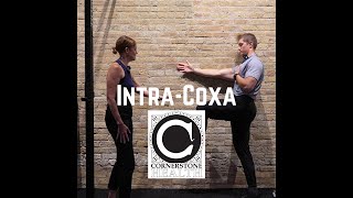 IntraCoxa Physical Therapy Hip Exercises with Liz and JP [upl. by Acilef488]