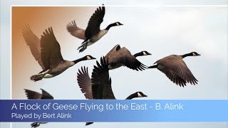 A Flock of Geese Flying to the East  B Alink classical guitar [upl. by Scotty]