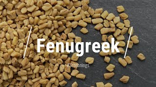 🔵 All About Fenugreek [upl. by Dworman]