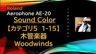 Aerophone AE20音色【カテゴリ5 115 木管楽器】 [upl. by Acinom]