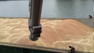 How to trim a Wheat cargo MV Swift [upl. by Aynna935]