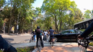 Ciclista atropellada en Sendero Reforma CDMX 2020 [upl. by Ahsyekal]