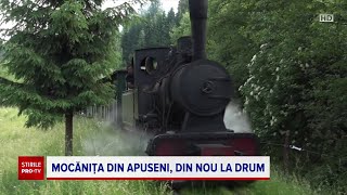 Mocăniţa Apusenilor şia reluat cursele turistice între oraşele Câmpeni şi Abrud [upl. by Kier]