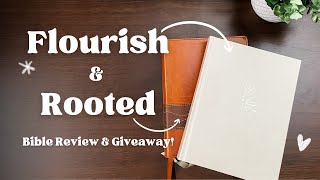 Your New Favorite Bibles for 2024 Review amp Giveaway [upl. by Mahgirb]