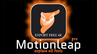 Motion leap pro Hacks That Everyone Should Know [upl. by Adnirem]