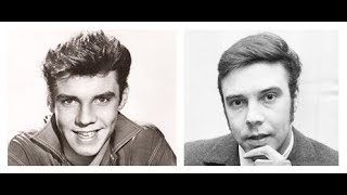 SHANNON  Abergavenny  MARTY WILDE  Sea Of Love  stereo [upl. by Cassi]