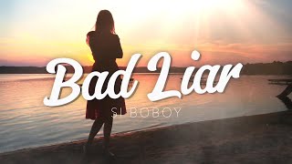 Bad Liar  Lyrics [upl. by Nido681]