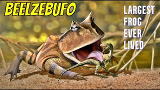 Beelzebufo  Largest Frog Ever Lived [upl. by Navannod989]