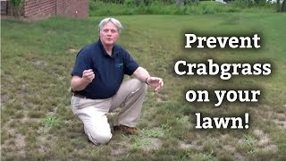 Crabgrass Control Tips  Expert Lawn Care Advice [upl. by Ariadne585]