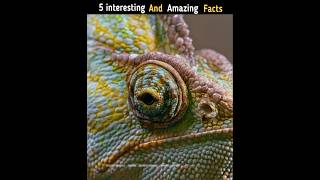 Amazing Facts about world 🌍  facts interestingfacts [upl. by Liahus]