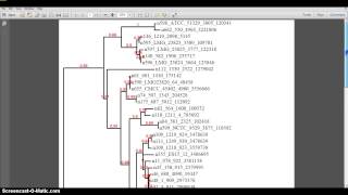 Cronobacter PubMLST Part 4 [upl. by Radman]