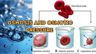 Osmosis  Osmotic pressure or oncotic pressure  Osmosis OsmoticPressure Science [upl. by Raffo]