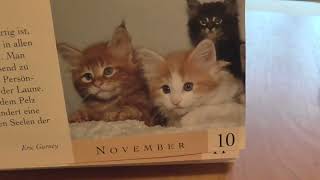 Das ist der beste Katzenkalender [upl. by Dnalyram]