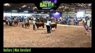 2024 Stierwalt Cattle Battle [upl. by Emmalyn]